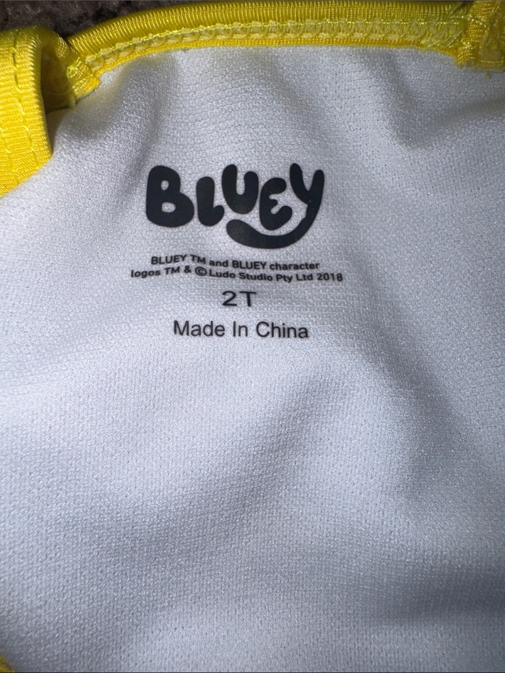 Bluey Two-Piece Swim Set - Picture 2 of 3